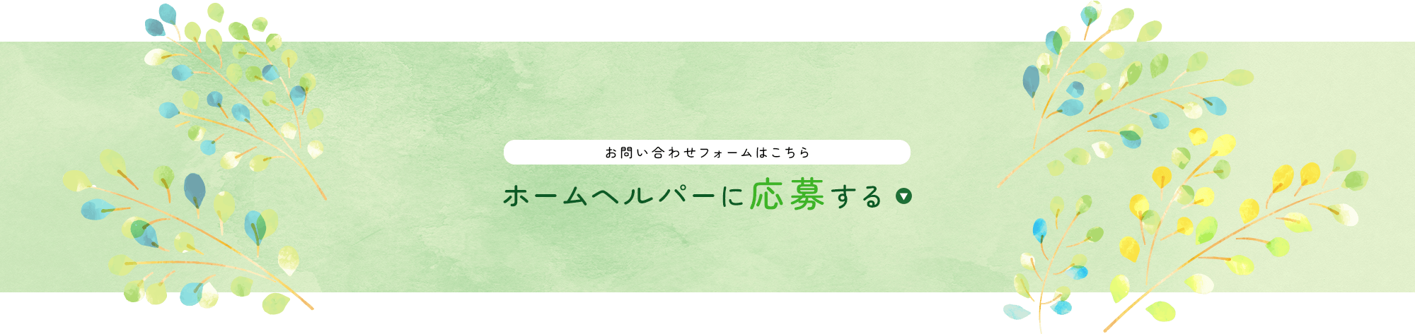 _lp01_bnr_entry